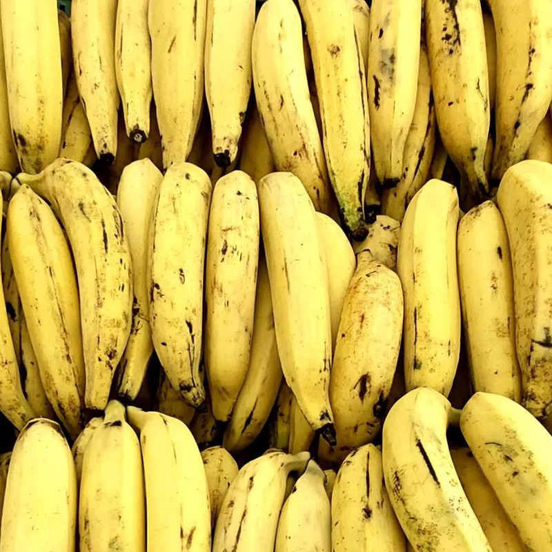 Plátano extra maduro
